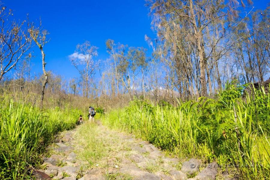 Jalur pendakian antara Shelter II Kokopan dan Shelter III Pondokan