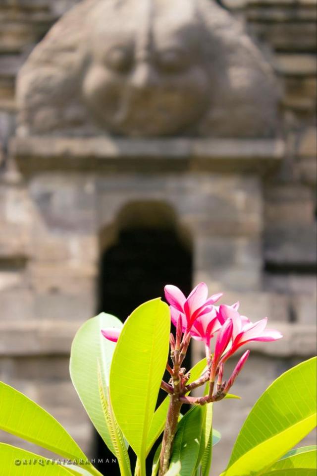 Candi Singhasari Malang
