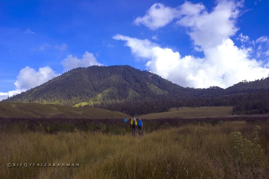 Oro-oro Ombo Gunung Semeru