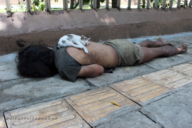 Simbiosis mutualisme di tengah Kota Bogor (?)