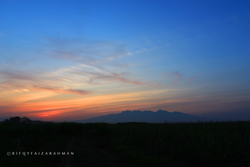 Siluet Gunung Muria dan sunset terlihat dari ladang tebu Wedarijaksa, Kabupaten Pati