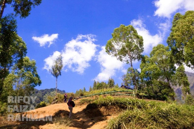 Coban Sumber Pitu Pujon Kidul