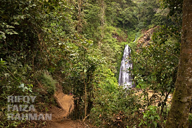 Coban Sumber Pitu Pujon Kidul