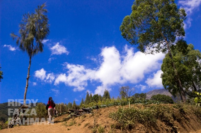 Coban Sumber Pitu Pujon Kidul