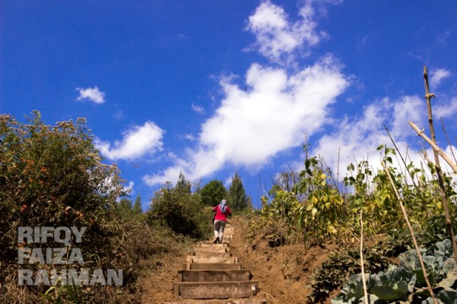 Coban Sumber Pitu Pujon Kidul