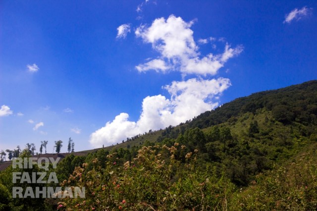 Coban Sumber Pitu Pujon Kidul