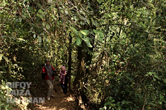 Coban Sumber Pitu Pujon Kidul