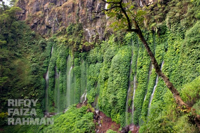 Coban Sumber Pitu Pujon Kidul