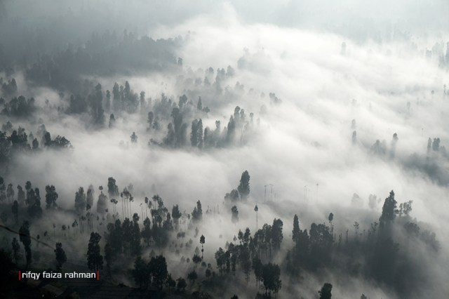 Kita bisa berencana dan bermimpi. Masa depan dan perwujudan mimpi masih putih dan bersih; akan tersingkap perlahan pada waktunya.