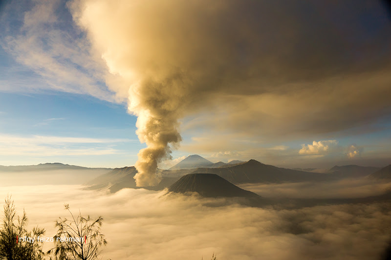 Pemandangan langka di Gunung Bromo dalam lima tahun sekali