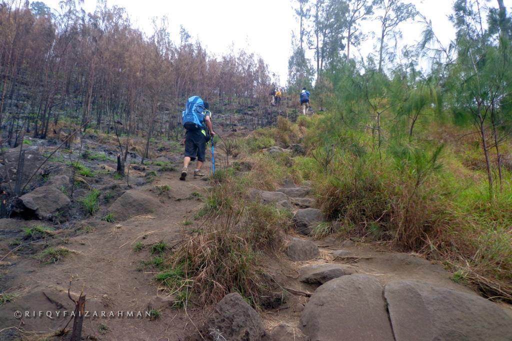 Pendakian Gunung Rinjani Lombok