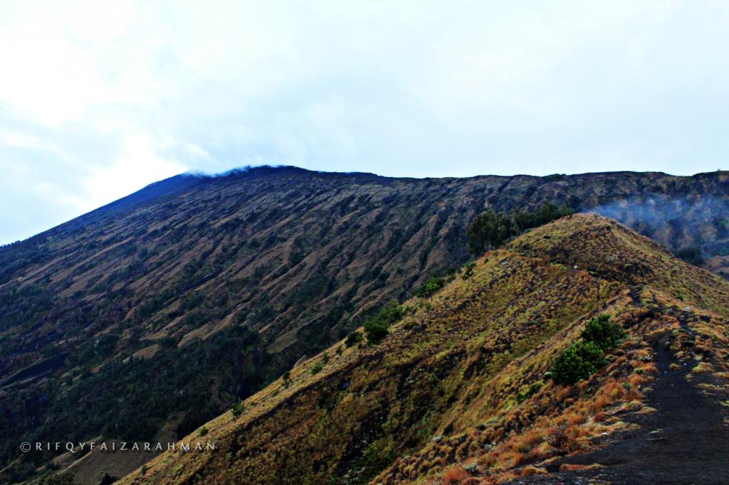 Plawangan Sembalun (2.639 mdpl), gigiran punggungan yang datar memanjang. Tempat camp terakhir sebelum puncak Gunung Rinjani.