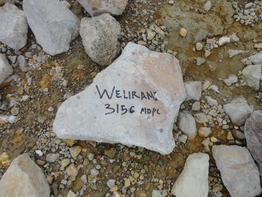 Gunung Welirang Jalur Tretes