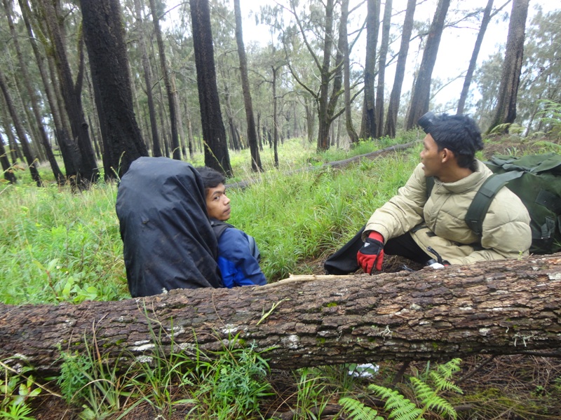Lutfi (kiri) dan Dani sedang beristirahat dalam perjalanan ke puncak di seonggok pohon cemara gunung yang tumbang, di kawasan Alas Lali Jiwo.
