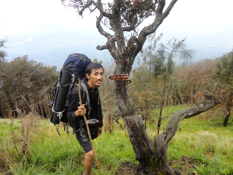 Pendakian Gunung Arjuno Jalur Purwosari