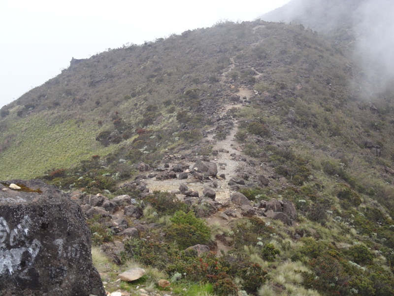 Pendakian Gunung Arjuno Jalur Purwosari