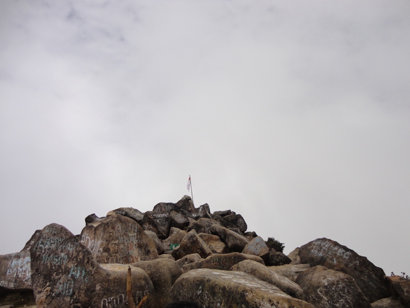 Pendakian Gunung Arjuno Jalur Purwosari
