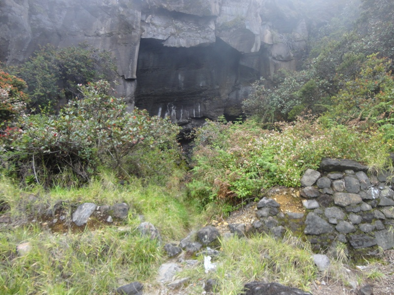 Gunung Welirang Jalur Tretes