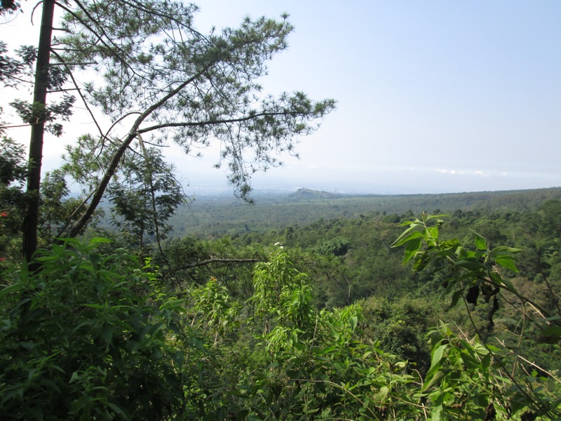 Pendakian Gunung Arjuno Jalur Purwosari