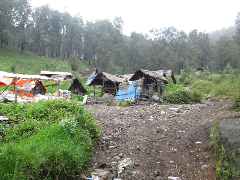 Gunung Arjuno-Welirang Jalur Tretes