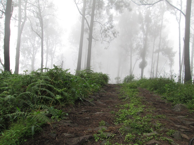 Gunung Welirang Jalur Tretes