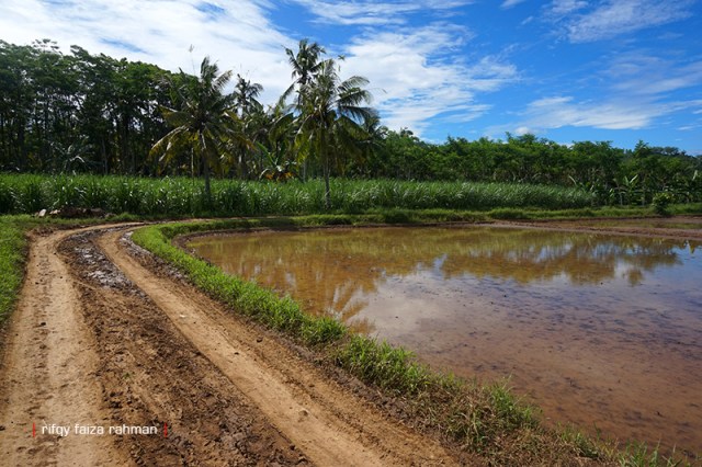 Pantai Sendiki Malang