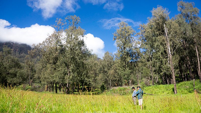 Kidung Lembah Kidang