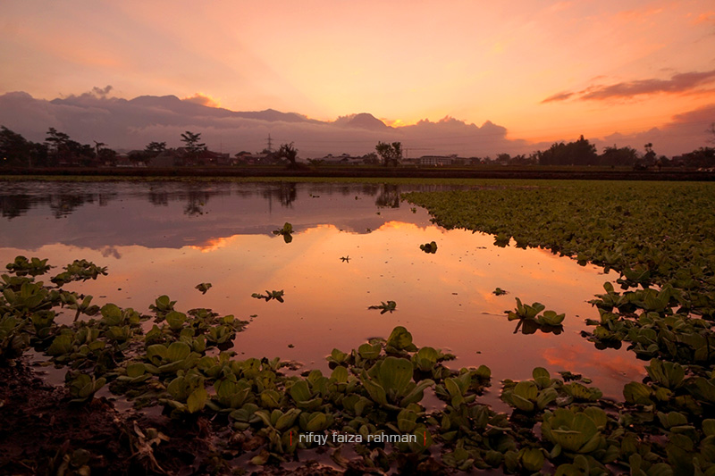 Refleksi Pegunungan Putri Tidur berlatar senja di suatu pedesaan di pinggiran kota Malang