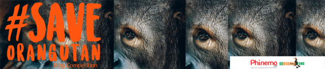 #SaveOrangUtan Blog Competition Phinemo dan Be Borneo Tour