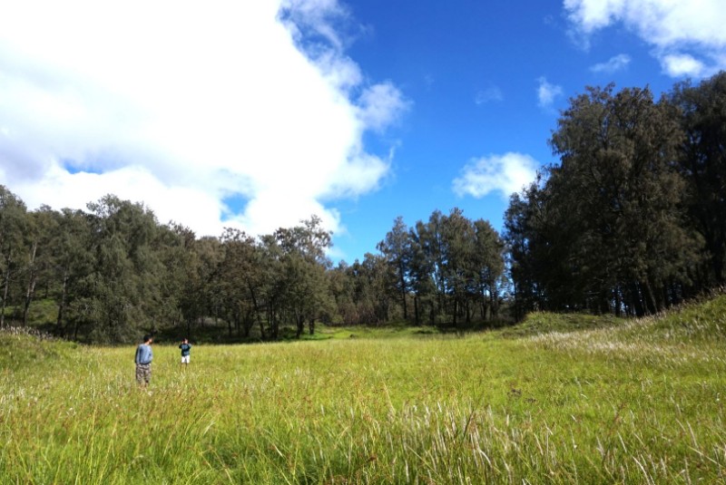 Ketenangan yang dirindukan di gunung