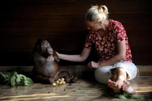 Meskipun semua perawatan telah disediakan, kita tidak harus mengubah mereka menjadi manusia. (Foto oleh Mihai Vasile-FOUR PAWS)