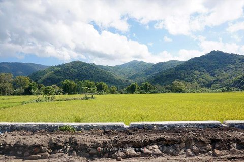 Pemandangan berupa sawah adalah salah satu yang akan banyak ditemui saat melintas di Trans Flores. Melihat pemandangan seperti ini akan menghibur dan sedikit mengobati mabuk darat.