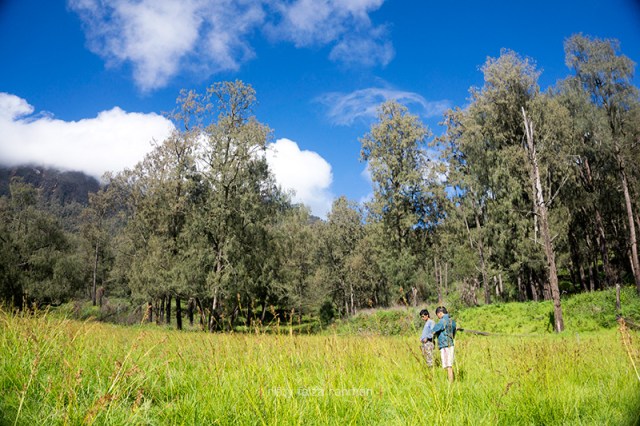 Lembah Kijang, Gunung Arjuno jalur Tretes, Pasuruan