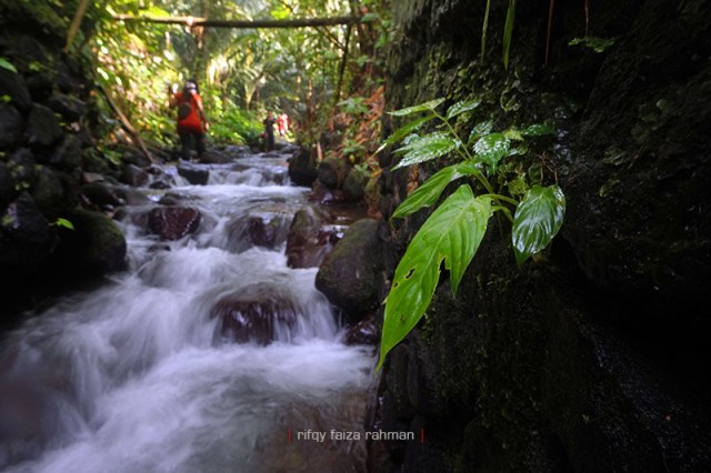 Pagi hari adalah saat paling tepat untuk melakukan kegiatan susur sungai di Pancoh