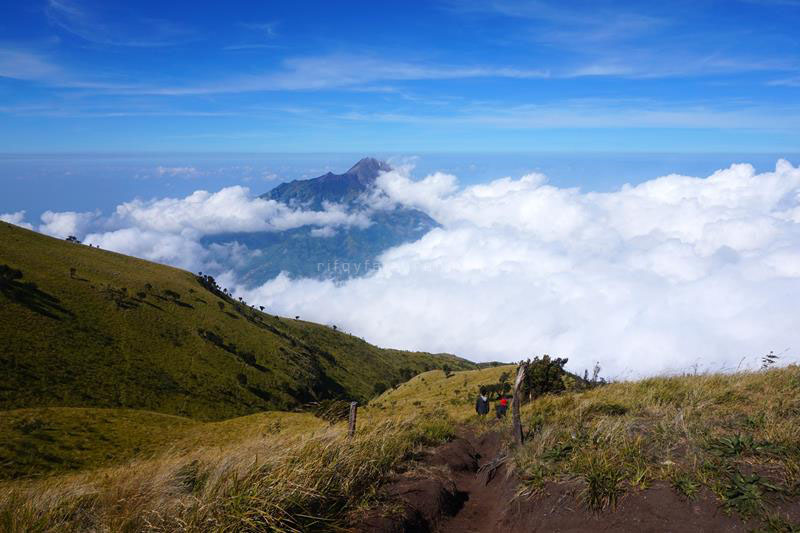 Seolah berjalan di atas awan