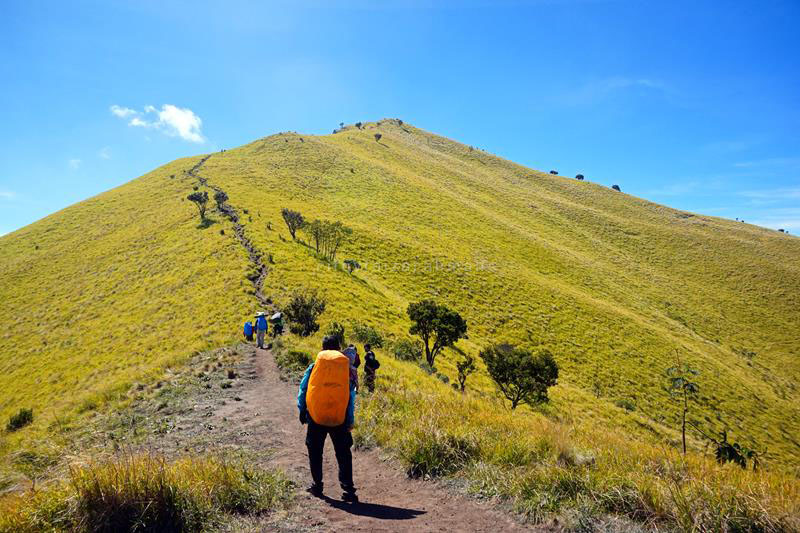 Jarak dari Pos 3 ke puncak Triangulasi sekitar 1,5 km. Atau sekitar 2 jam pendakian tanpa membawa beban.