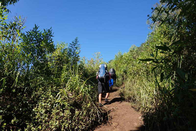 Tanjakan berdebu dan terjal saat awal pintu hutan