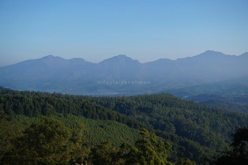 Pemandangan yang tersaji saat sejam awal pendakian