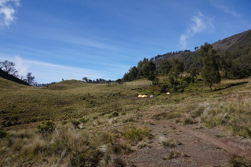 Sabana Sendang, ditempuh sekitar 7-8 jam pendakian dari basecamp