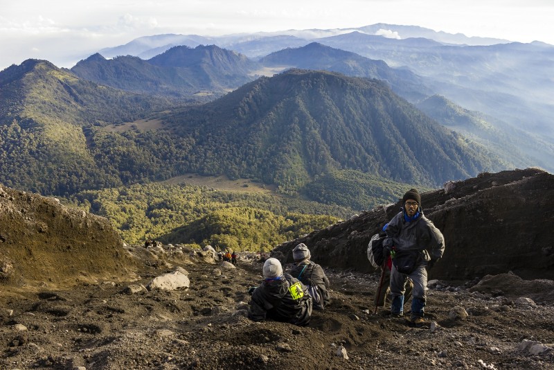Jatuh, Lalu Bangkit Lagi