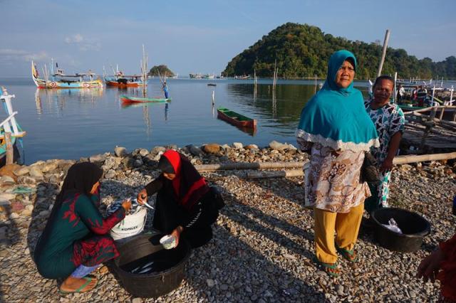 Membeli ikan segar langsung dari nelayan