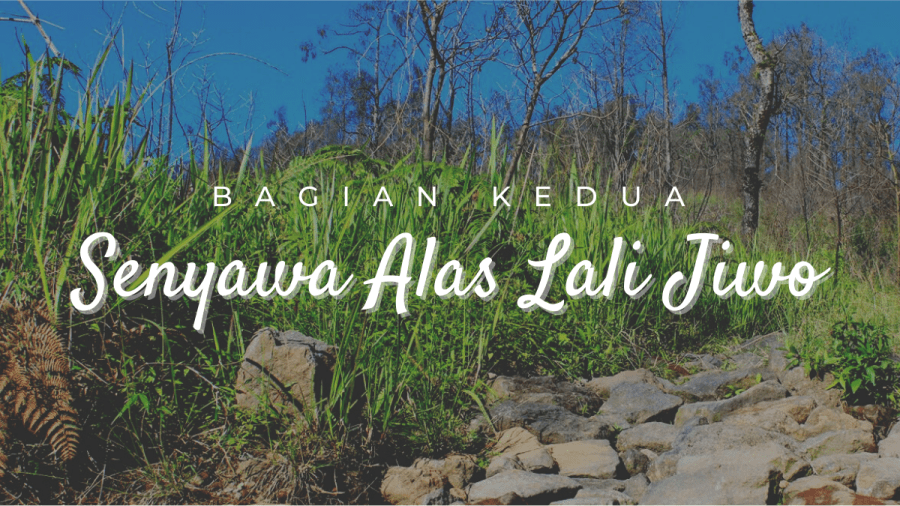 Senyawa Alas Lali Jiwo: Taklimat-Taklimat yang Perlu Dicatat (2)