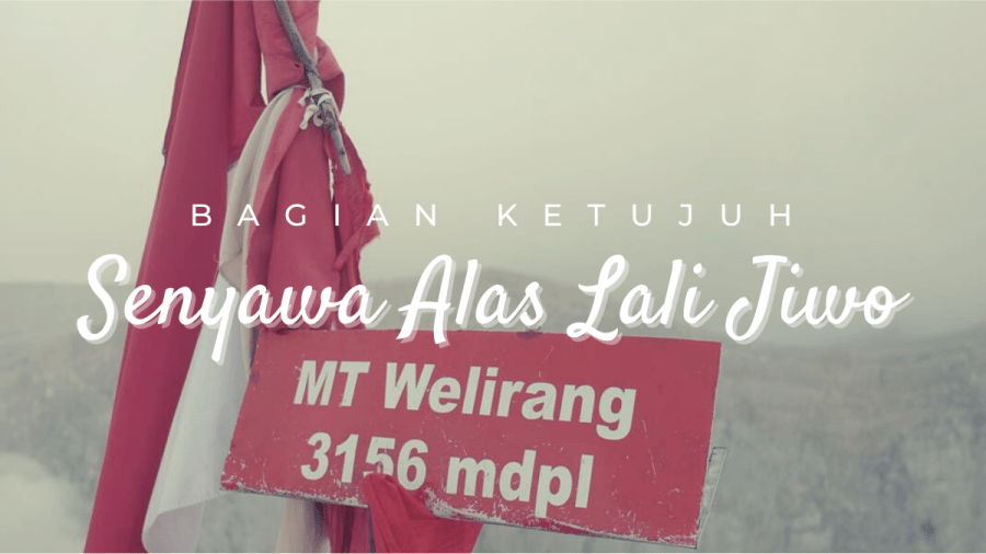 Senyawa Alas Lali Jiwo: Tengara di Antara Solfatara (7)