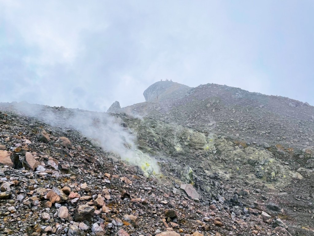 Kawasan puncak Gunung Welirang