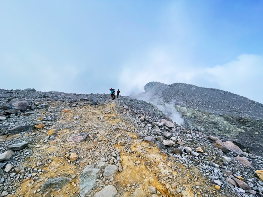 Kawasan puncak Gunung Welirang