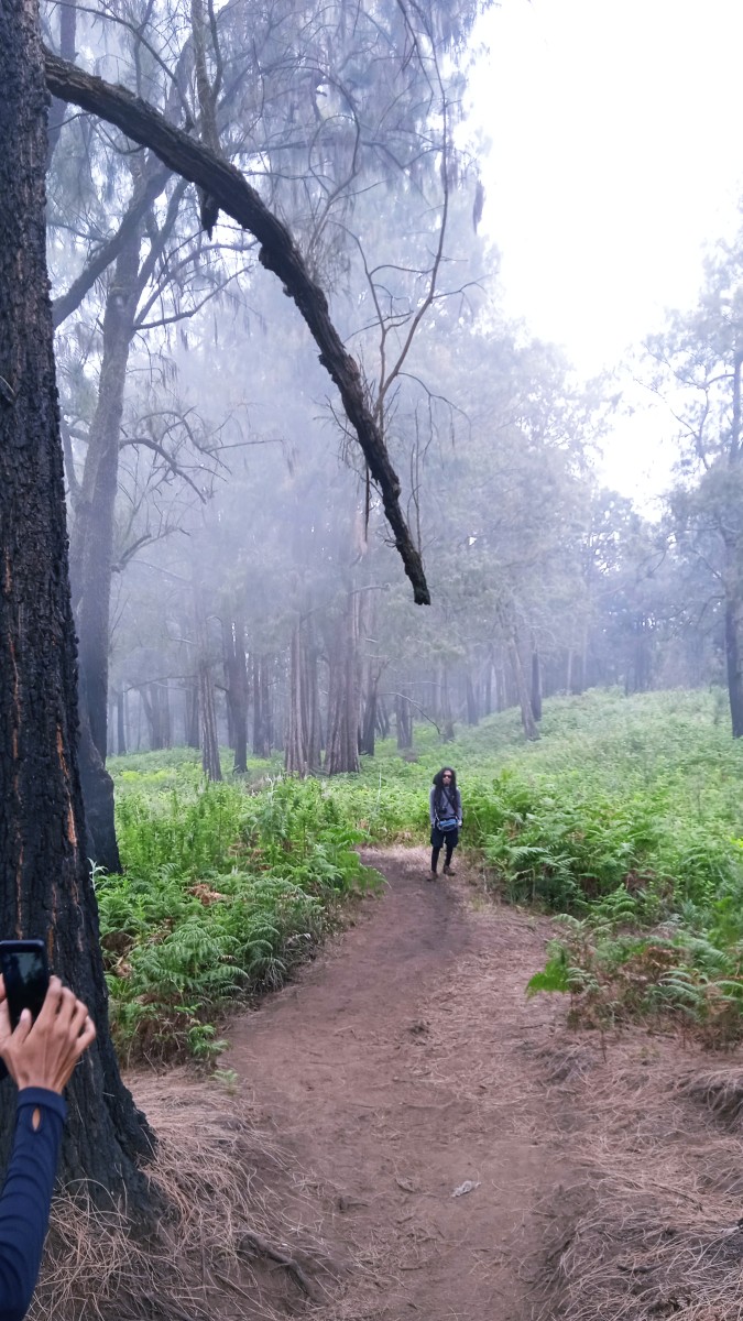Merekam Totok di jalur yang sempat memanjakan kaki