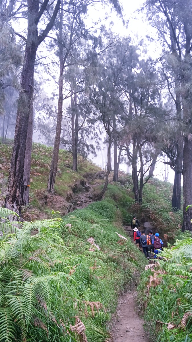 Peralihan jalur tanah kembali berganti menjadi makadam yang terus menanjak hingga Taman Edelweiss