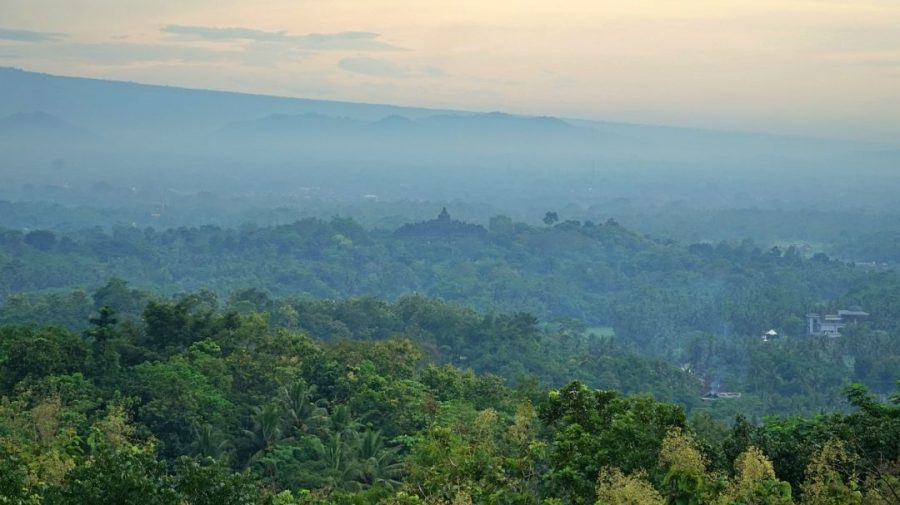 Tahun Ini Ingin Bertumbuh Lebih Jauh
